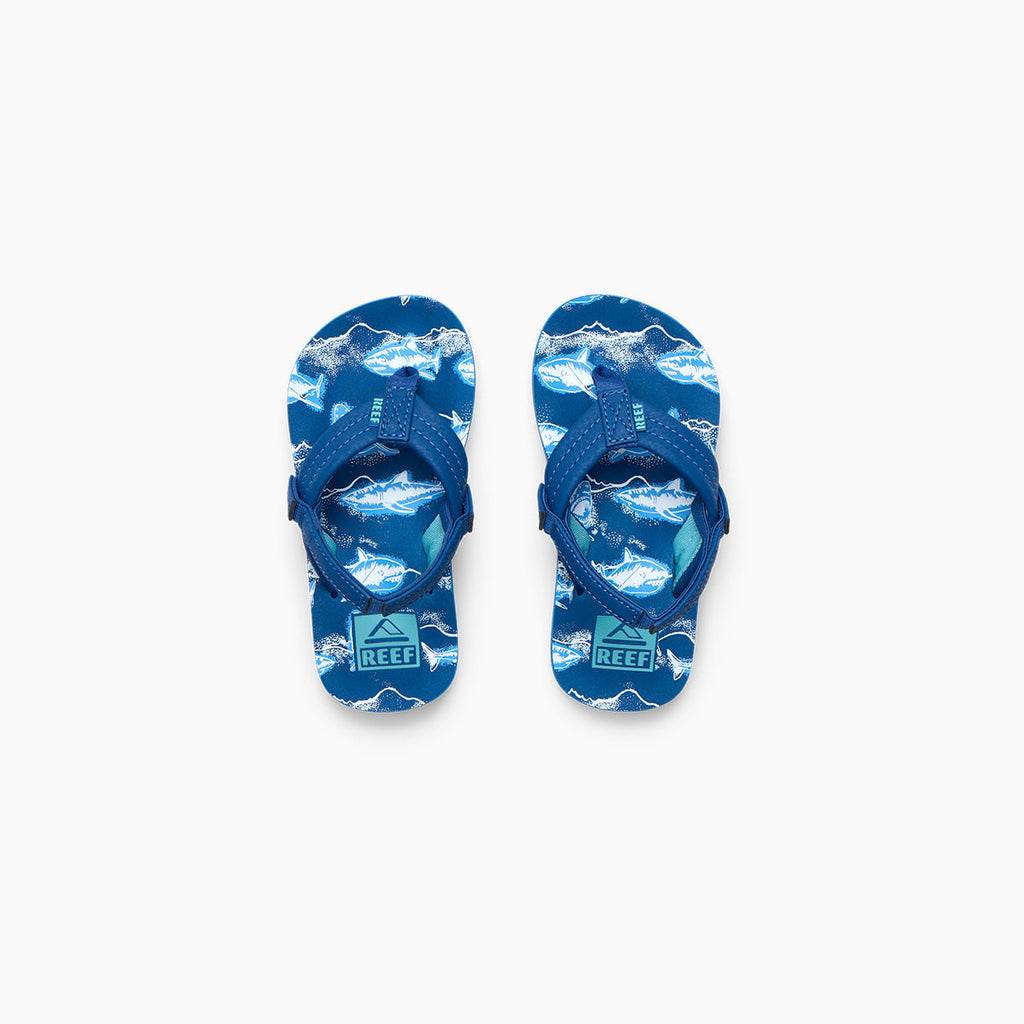 Little Ahi - Royal Sharks