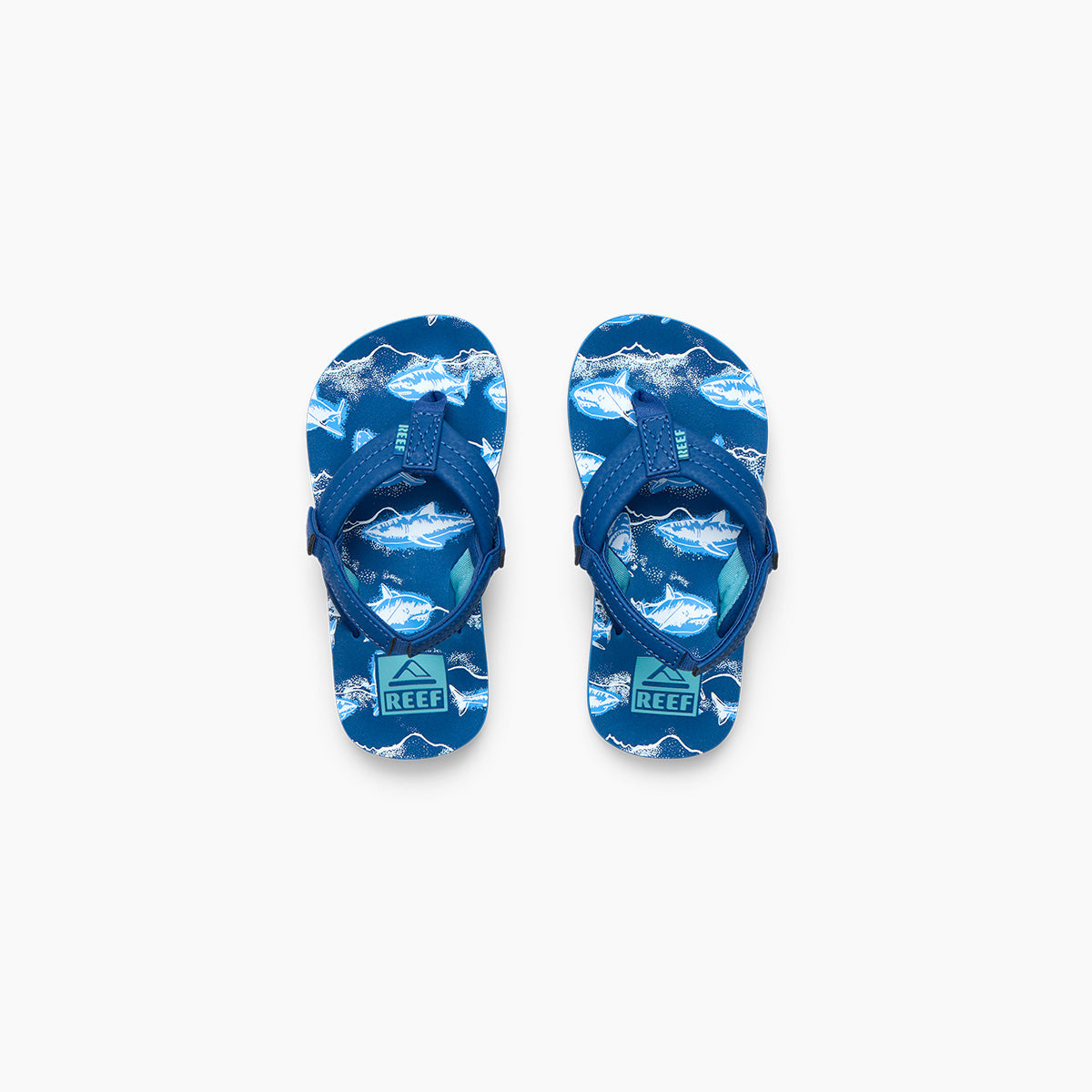 Little Ahi - Royal Sharks