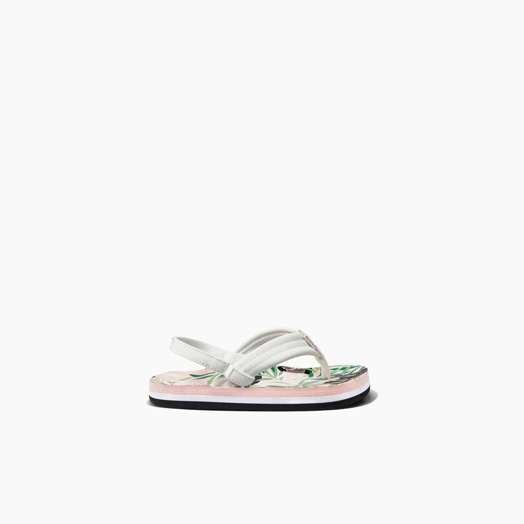 Little Ahi - Zebra