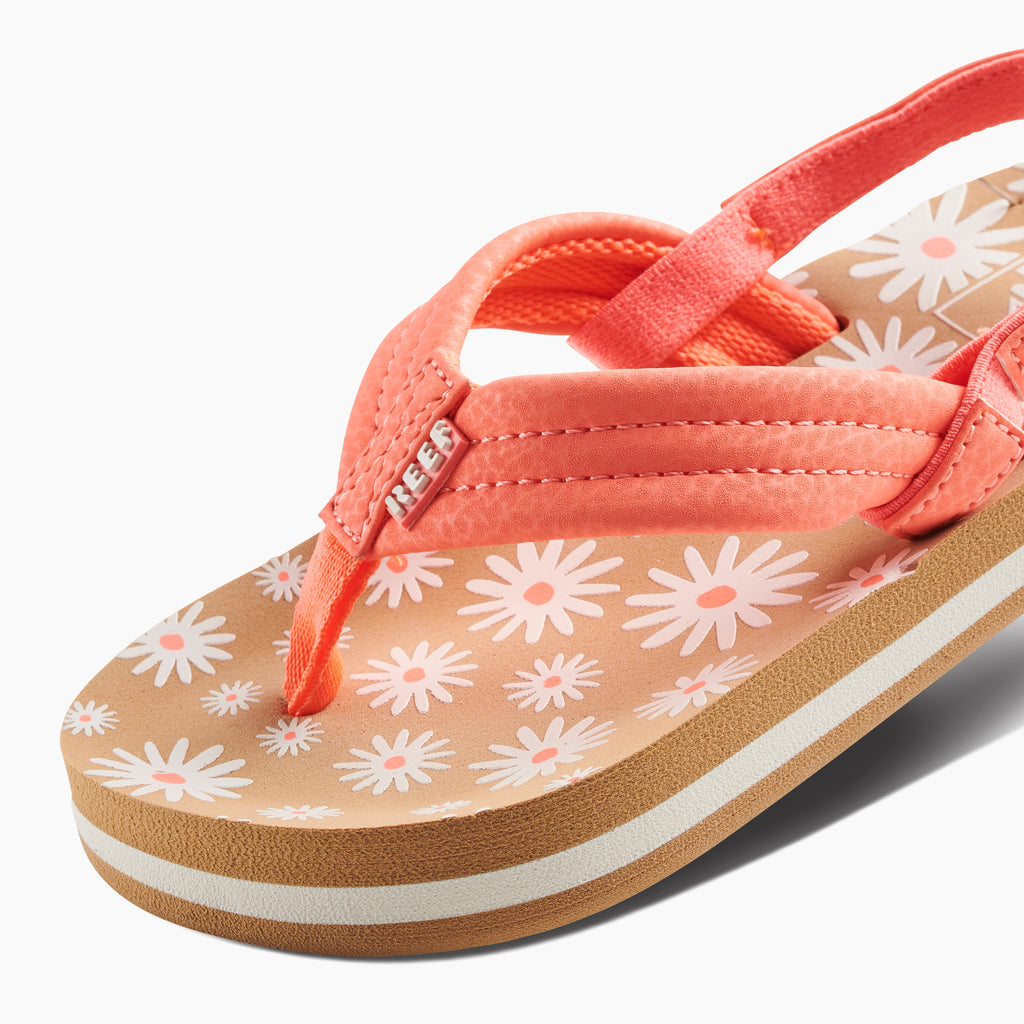 Little Ahi - Daisy