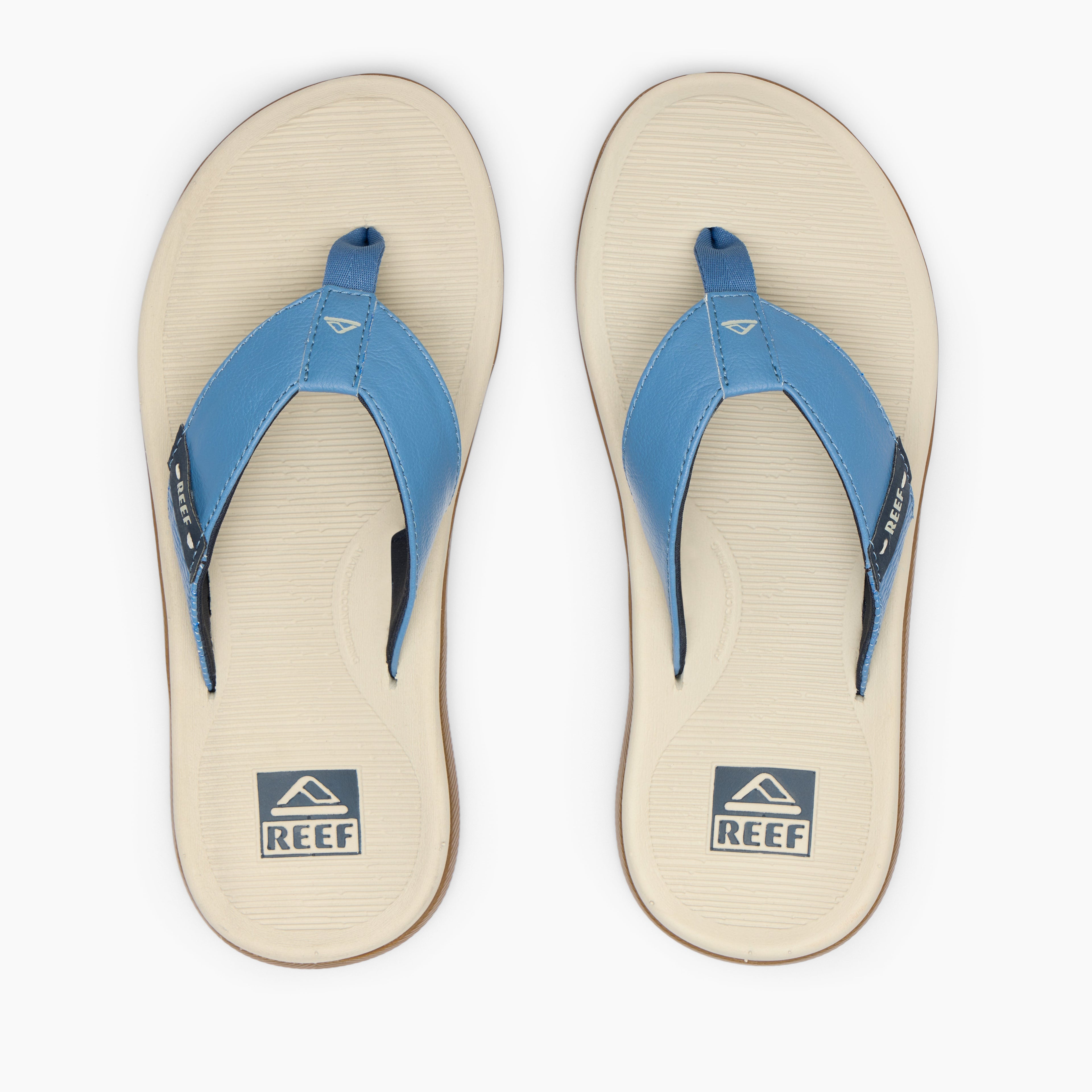 Reef Santa Ana - Oat/Blue/Gum