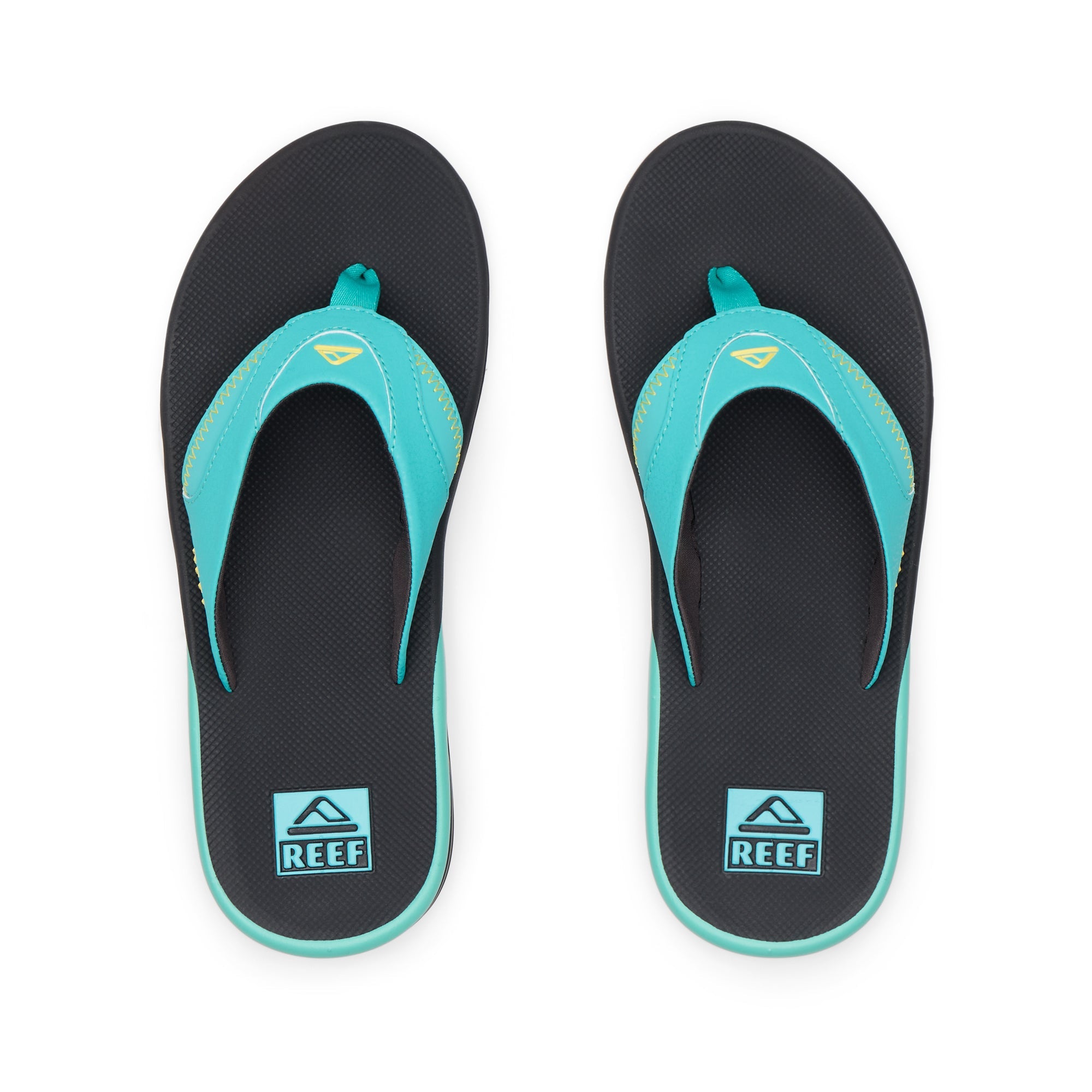 Fanning - Teal