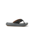 Cruiser