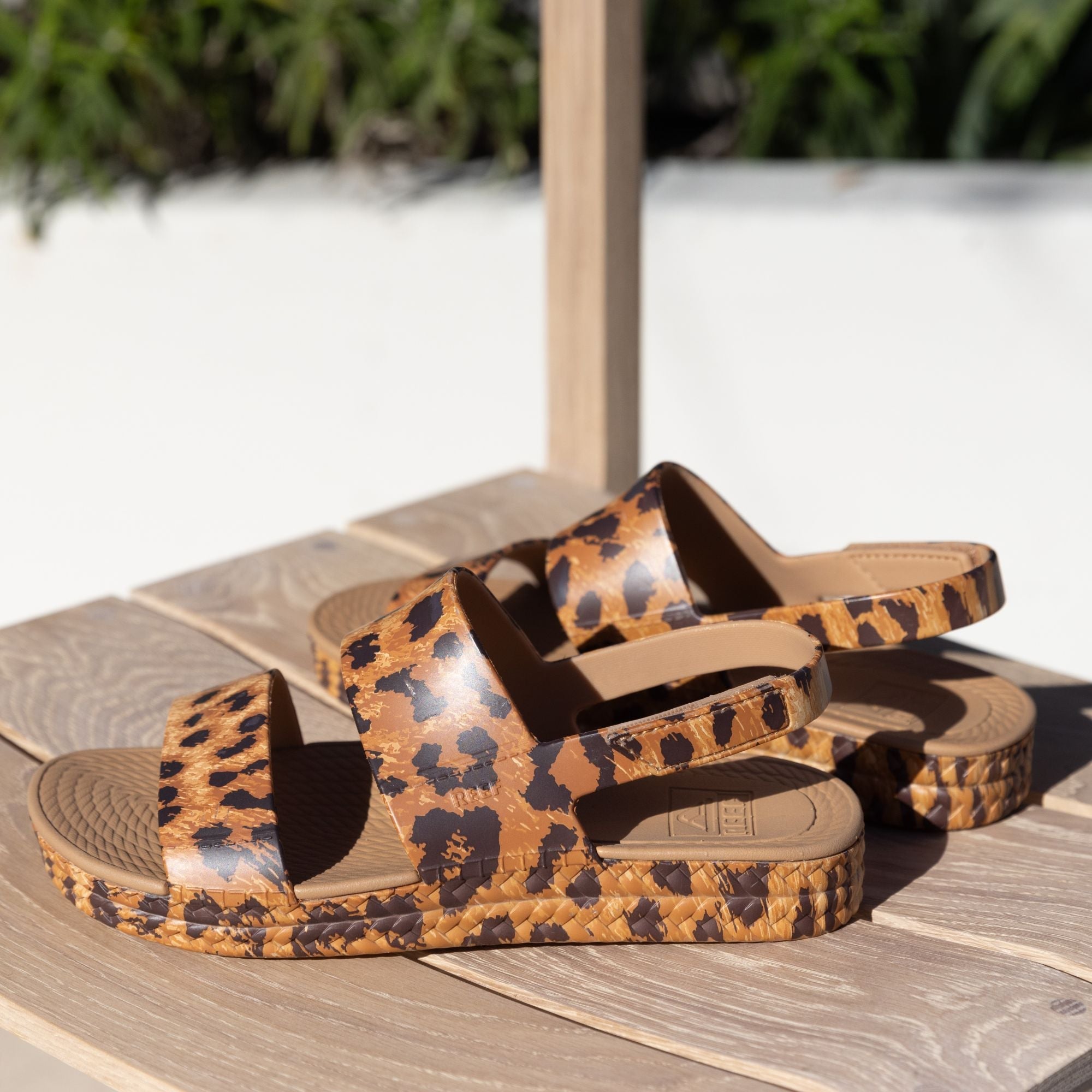 Reef Water Vista - Leopard